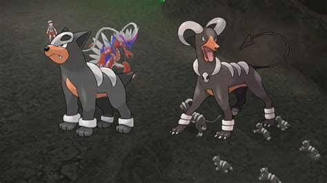 hounder meaning|what level does houndour evolve.